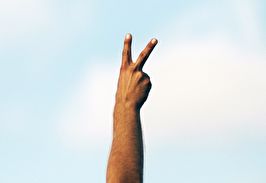Решение апелляции: защищены интересы клиента в споре о защите чести и достоинства